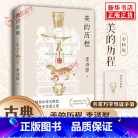 美的历程 [正版]赠导读手册美的历程 李泽厚 古典美学中华文明史道尽五千年华夏之美 谈美哲学中国美学史哲学鉴赏谈美书简美