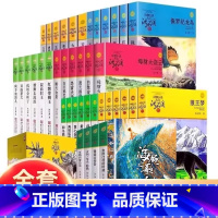 [全套41册]沈石溪动物小说(含海豚之歌) [正版]狼王梦沈石溪动物小说全集品藏书系大王升级版全套41册斑羚飞渡第七条猎