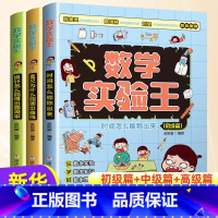 [全3册]数学实验王 [正版]数学实验王时间怎么能称出来全3册趣味科学推理想象思维训练游戏书一二三四五六年级小学生暑假期