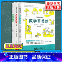数学真美妙 1-6年级全套 小学通用 [正版]年级任选 数学真美妙 小学一至六年级适用 小学数学课外读物 小学1至6年级
