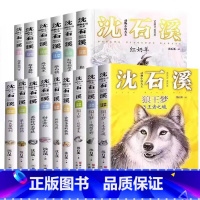 沈石溪动物小说注音版[全套15册] [正版]沈石溪动物小说注音版读本全套 狼王梦作者的书全系列全集 6-8-10岁一二三