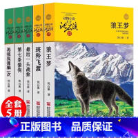 [5册]沈石溪动物小说 ❥店长推荐 [正版]海豚之歌 沈石溪 狼王梦作者沈石溪动物小说全集 海洋题材温暖动物小说文学书籍