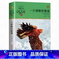 一只猎雕的遭遇 [正版] 斑羚飞渡 动物小说大王沈石溪品藏书系狼王梦青少年课外书8-10-12-15周岁四五六年级小学生