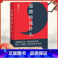 道德经说什么 [正版]道德经说什么 韩鹏杰 著 王弼注解本 老子道德经 解答人生之道的困惑 道德经原著白话全解道家哲学书