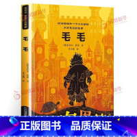 毛毛 [正版]毛毛书籍时间窃贼和一个小女孩的不可思议的故事幻想文学小学三四五六年级课外阅读书籍青少年儿童课外书8-12岁