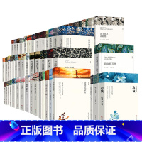 盛世搏文世界名著75册 [正版]世界名著75册单本套装任选童年边城经典常城南旧事鲁滨孙漂流记爱的教育受戒汪曾祺沈从文散文