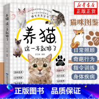 给猫咪一个安全的家 [正版]养猫这一本就够了猫咪图鉴百科书养猫基础工具书我的养猫书养猫入门指南养猫书养猫全攻略养猫科普书