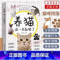 给猫咪一个安全的家 [正版]养猫这一本就够了猫咪图鉴百科书养猫基础工具书我的养猫书养猫入门指南养猫书养猫全攻略养猫科普书