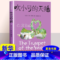 [正版]吹小号的天鹅 怀特著任溶溶译8-9-10-11岁小学生三年级四年级五年级课外书非注音版儿童故事书籍 凤凰书店