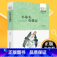[正版]小布头奇遇记 儿童文学书系中小学 青少版 9-10-11-12周岁三四五六年级小学生课外阅读凤凰书店