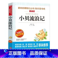 小贝流浪记 [正版]小贝流浪记名家名译语文阅读赏析写作借鉴世界经典文学名著