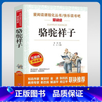 骆驼祥子 [正版]骆驼祥子七年级下册名家名译语文阅读赏析世界经典文学名著