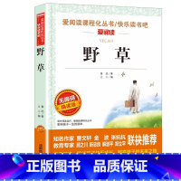 野草 [正版]野草名家名译鲁迅语文阅读赏析写作世界经典文学名著