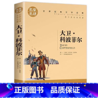 大卫科波菲尔 [正版]大卫科波菲尔小学生初中生课外阅读书世界经典文学名著cs