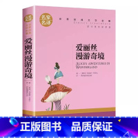 爱丽丝漫游奇境 [正版]爱丽丝漫游奇境小学生初中生课外阅读书世界经典文学名著cs