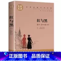 红与黑 [正版]红与黑小学生初中生课外阅读书世界经典文学名著cs