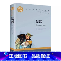 复活 [正版]复活小学生初中生课外阅读书世界经典文学名著cs