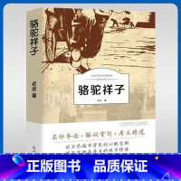 有声伴读-骆驼祥子 [正版]骆驼祥子小学生四五六七年级书原著青少年版初中生老舍原版导读版课外书经典骆驼样子无删减儿童名著