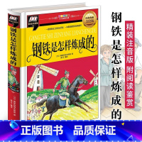 钢铁是怎样炼成的(彩图拼音精装版江西美术) [正版]钢铁是怎样炼成的 奥斯特洛夫斯基 精装注音版 附读后感 6-8-9岁