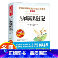 尼尔斯骑鹅旅行记 [正版]尼尔斯骑鹅旅行记 爱阅读名著课程化丛书青少年小学生儿童二三四五六年级上下册必课外阅读物故事书籍
