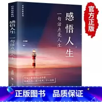 感悟人生 [正版]抖音同款感悟人生 一句话点亮人生 大智慧修身 生命感悟 心灵人生格言 励志书籍