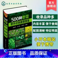 [正版]500种野菜野外识别速查图鉴 野菜识别特征实用方法 中医草药材识别图大全 生活常识中草药有毒植物识别图集 自然
