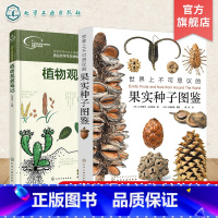 世界上不可思议的果实种子图鉴+植物观察笔记 [正版]2册 世界上不可思议的果实种子图鉴 我的大自然观察笔记 植物观察笔记