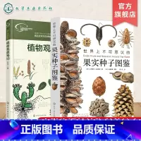 世界上不可思议的果实种子图鉴+植物观察笔记 [正版]2册 世界上不可思议的果实种子图鉴 我的大自然观察笔记 植物观察笔记