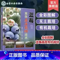 [正版]蓝莓高效基质栽培技术 曾其龙 蓝莓基质栽培的现状与发展蓝莓生物学特性 全彩图解蓝莓基质栽培 蓝莓专业技术人员科