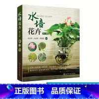 [正版] 水培花卉 第三版 水培花卉生产经营与管理阅读书 水培花卉的特点 选购 制作与养护方法书 水培花卉产地分布 水