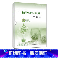 植物组织培养 [正版]植物组织培养 何旭君 植物组培 组织培养基础知识 组织培养应用技术 组织培养生产实践 农业生物技术