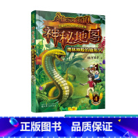 [正版]芝麻科学探险解谜系列 神秘地图 4 雨林神殿的隐形人 6-12岁少儿童经典文学探险解谜故事书 二三四年级小学生