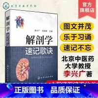 [正版]中医课程速记丛书 解剖学速记歌诀 解剖学 中医院校本专科学生参考用书 临床初级医师学习书籍 执简驭繁 乐于习诵