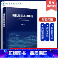 高比能固态锂电池 [正版]高比能固态锂电池 高比能固态锂电池关键材料及核心技术 解决传统液态锂电池痛点 锂电池安全 高比