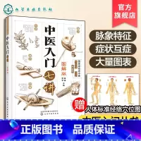 [正版]图解 中医入门七讲 曲淼郑琴 零基础学中医中药中医入门自学 中医基础理论入门中医养生书籍舌诊脉诊中医书籍大全
