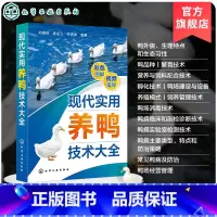 现代实用养鸭技术大全 [正版]现代实用养鸭技术大全 郑嫩珠 鸭引种饲养管理 疾病预防治诊断和鸭场经营 现代鸭种繁育 科
