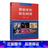 [正版]猪病诊治原色图谱 郎跃深 养猪技术书大全猪病诊治与用药高效母猪兽药猪病学图解与鉴别猪饲料配方手册科学实用新技术