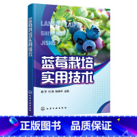 [正版]蓝莓栽培实用技术 杨芩 蓝莓栽培技术蓝莓质栽培 蓝莓绿色无公害培育蓝莓病虫害防治 果农技术人员农业院校师生阅读