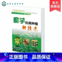 [正版]魔芋抗病种植新技术 周燚 魔芋生长习性 魔芋病虫害防治策略 魔芋根腐病防控策略 魔芋种植品种改良策略 魔芋种植