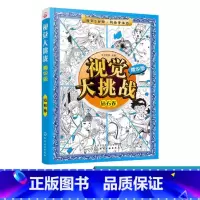 [正版]视觉大挑战 精华版 钻石卷 6-12岁儿童视觉挑战益智游戏书 专注力训练益智开发思维书籍 儿童视觉智力开发记