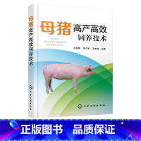 [正版]母猪高产高效饲养技术 母猪高产养殖技术母猪饲养管理产后护理母猪疾病诊治预防母猪场建设 养猪专业户猪场管理人员兽