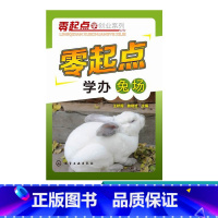 [正版]零起点学办兔场 高效养兔 轻轻松松学养兔 疾病诊断与防治预防教程 养殖技术大全书籍 科学养饲养教程书