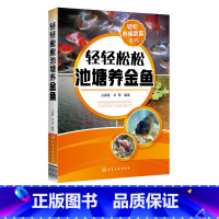 [正版]轻松养殖致富系列 轻轻松松池塘养金鱼 养鱼技术书籍 金鱼活饵料人工培养科学投饲技巧金鱼疾病防治技巧水产养殖技术