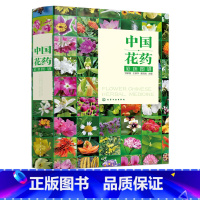 [正版]中国花药彩色图谱 邓家刚 王柳萍 黄克南 中药材草药大全花药别名产地植物形态花药性状化学成分性味归经功能主治用