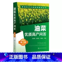 [正版]粮油经济作物高效栽培丛书 油菜优质高产问答 第2二版 何永梅 张有民 王迪轩 油菜高效栽培种植技术大全 科学种