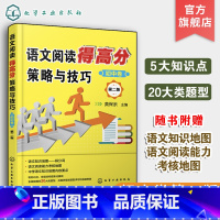 [正版]语文阅读得高分策略与技巧 初中卷第二版 13-15岁中学语文阅读理解语文阅读基础知识专项辅导训练中学语文学习得