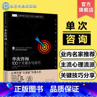 [正版]心理咨询与治疗100个关键点译丛 单次咨询 100个关键点与技巧 心理治疗技巧 心理咨询实战派经典力作 心理咨