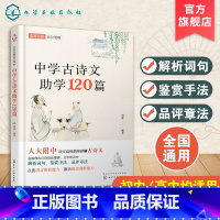 语文 [正版]名校名师高分策略 中学古诗文助学120篇 人大附中名师编写 唐诗宋词文言文联系课内课外 紧扣中考 高考考纲