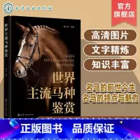 [正版]世界主流马种鉴赏 一本书了解世界主流马种 马的起源与进化 马的身体结构 与马相关的运动 热血马温血马冷血马野马