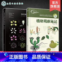 有趣的植物解剖图鉴+植物观察笔记(2册) [正版]2册 如何观察身边的花 有趣的植物解剖图鉴 我的大自然观察笔记 植物观